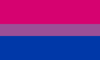 Bisexual pride flag.svg.png?ixlib=rails 2.1