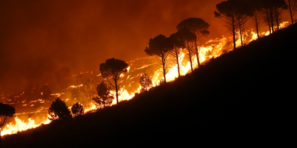 20240511 wildfire sj 251 958da9.webp?ixlib=rails 2.1