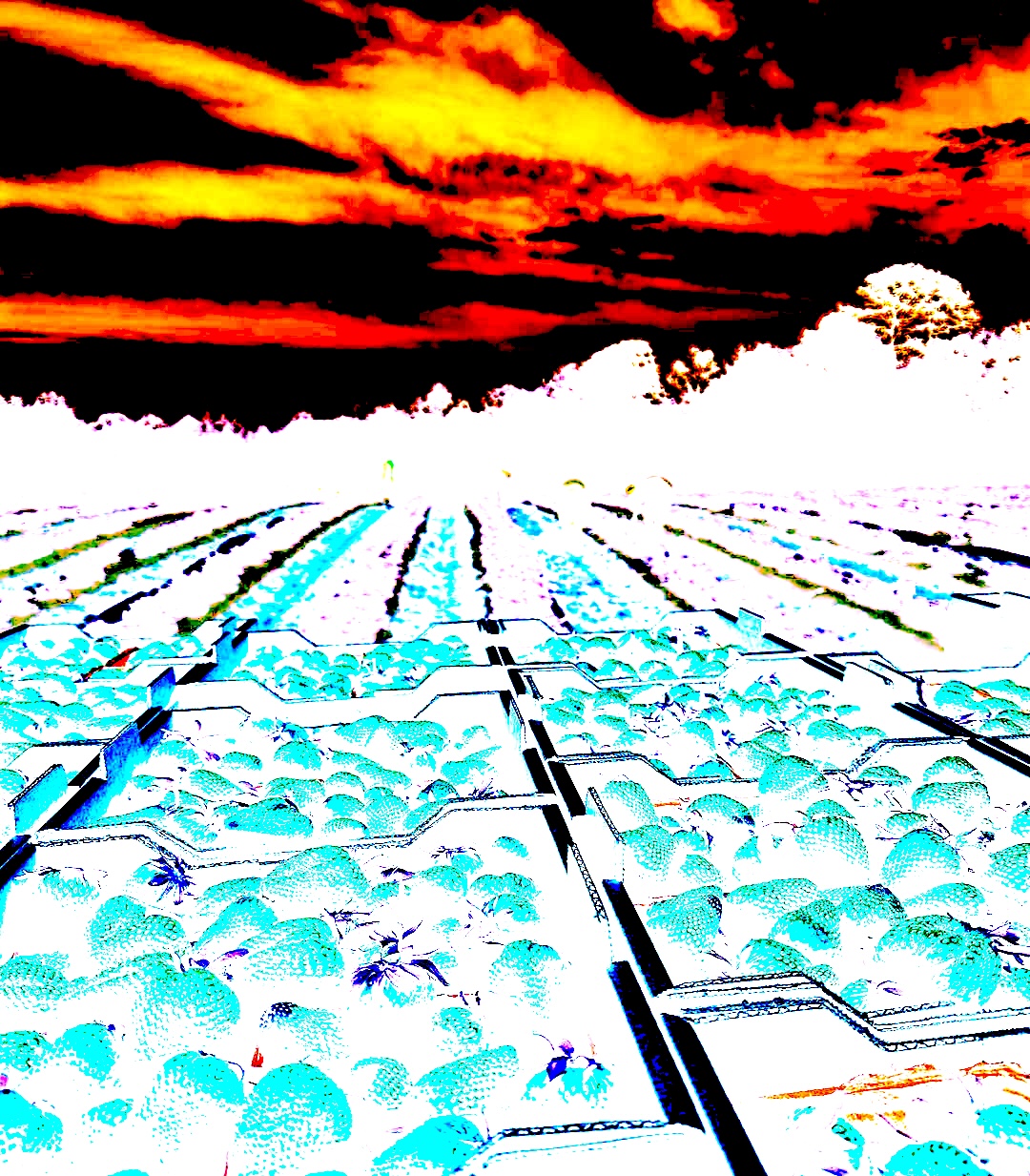 481223883 1035757268599237 938505442369207635 n.jpg?ixlib=rails 2.1