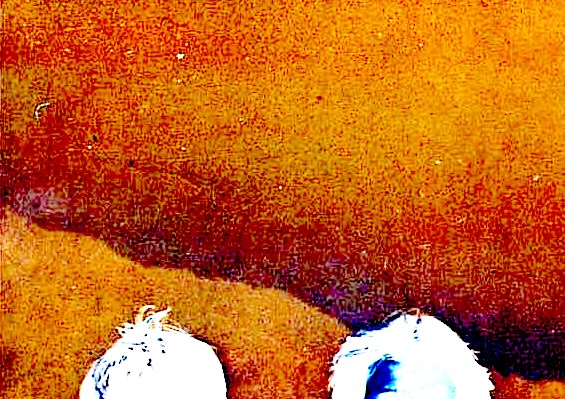 1 wy4khcn6f647478toeihhg.jpg?ixlib=rails 2.1