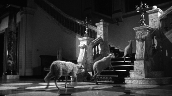 Exterminating.png?ixlib=rails 2.1