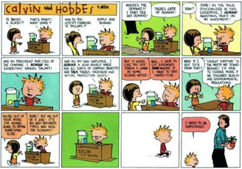 Calvinhobbs.jpg?ixlib=rails 2.1