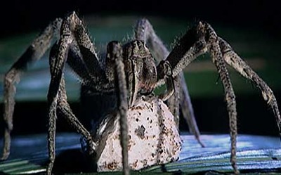 8.jpg tm.jpg tm.jpg?ixlib=rails 2.1