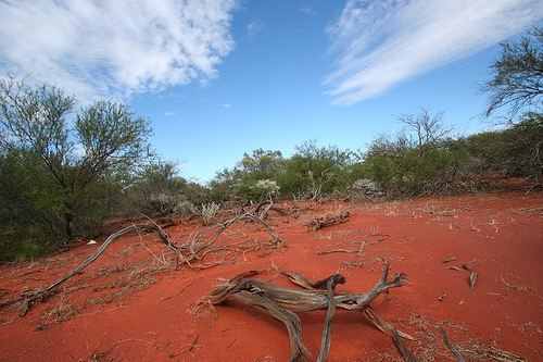 Outback.jpg?ixlib=rails 2.1