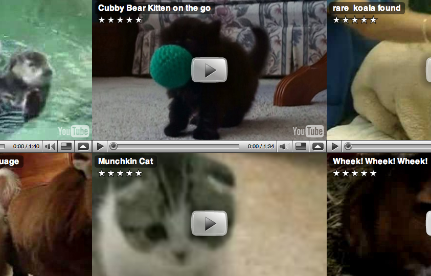 Cute.jpg?ixlib=rails 2.1