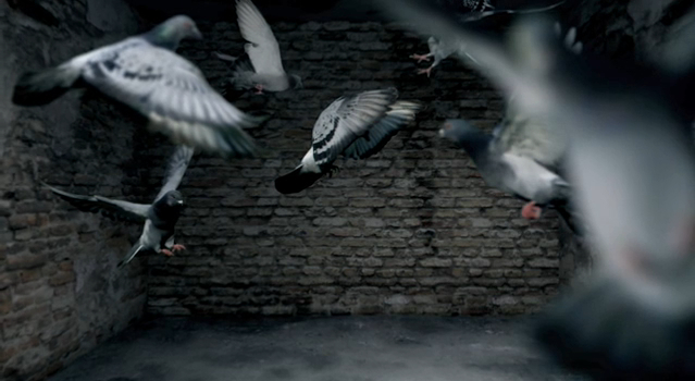 Untitled.jpg?ixlib=rails 2.1