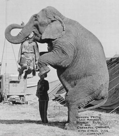 Tumblr kshvkp4rzc1qa9b8ro1 400.png?ixlib=rails 2.1