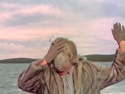 Birds.png?ixlib=rails 2.1