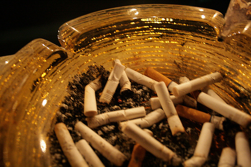 2688000336 e104c299d4.jpg?ixlib=rails 2.1