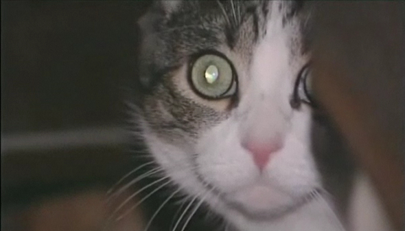 Untitled.jpg?ixlib=rails 2.1