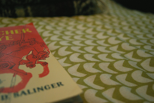 3895938693 e9bebd055a.jpg?ixlib=rails 2.1