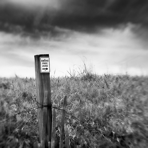 3559464042 8398d700a5.jpg?ixlib=rails 2.1