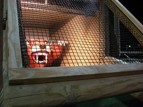 3567918581 1d54fc0d7a.jpg?ixlib=rails 2.1