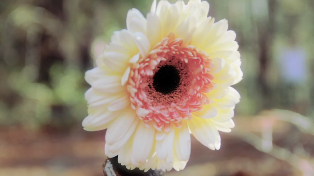 Picture 1.png?ixlib=rails 2.1