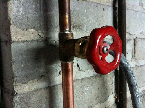 4484342139 fc294523f9.jpg?ixlib=rails 2.1