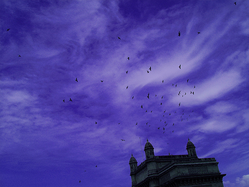 541424920 a6f7f7eddc.jpg?ixlib=rails 2.1