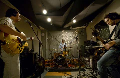 Plants and animals.jpg?ixlib=rails 2.1