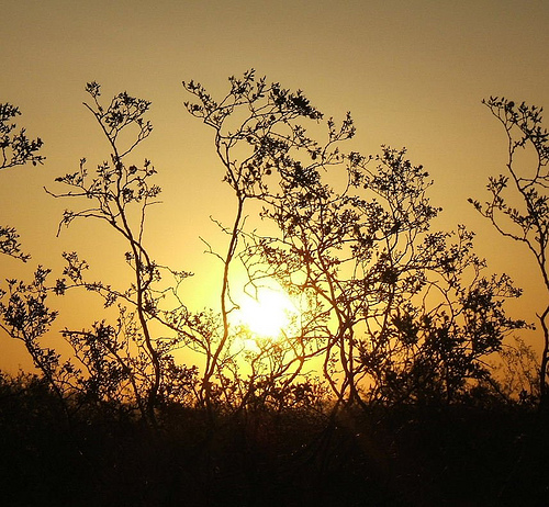 2216997700 1518b46aed.jpg?ixlib=rails 2.1