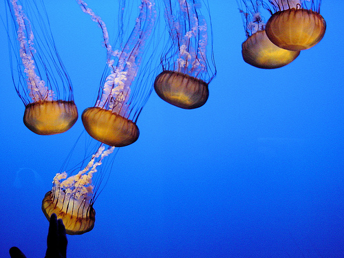 133023254 736501a192.jpg?ixlib=rails 2.1