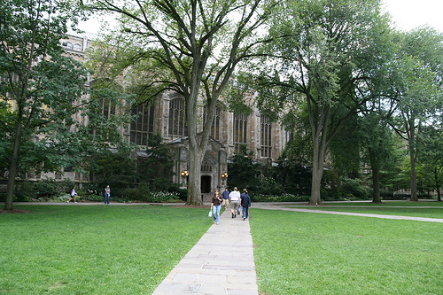 2901637991 e5ca6ef422.jpg?ixlib=rails 2.1