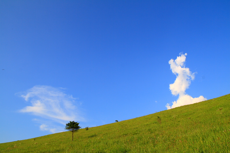 1099359905 0bdc2a903c o.jpg?ixlib=rails 2.1