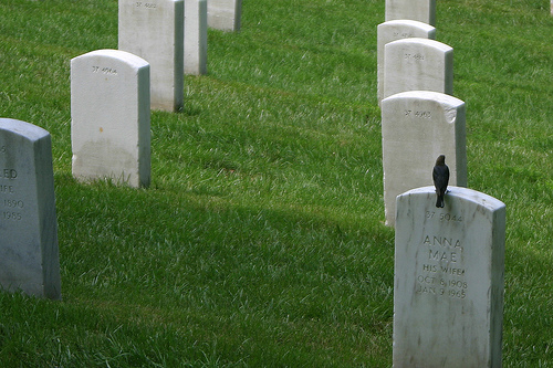 53534008 fcc54c96c4.jpg?ixlib=rails 2.1