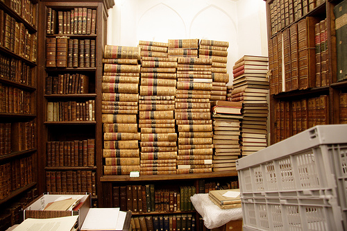 468730533 8352208995.jpg?ixlib=rails 2.1