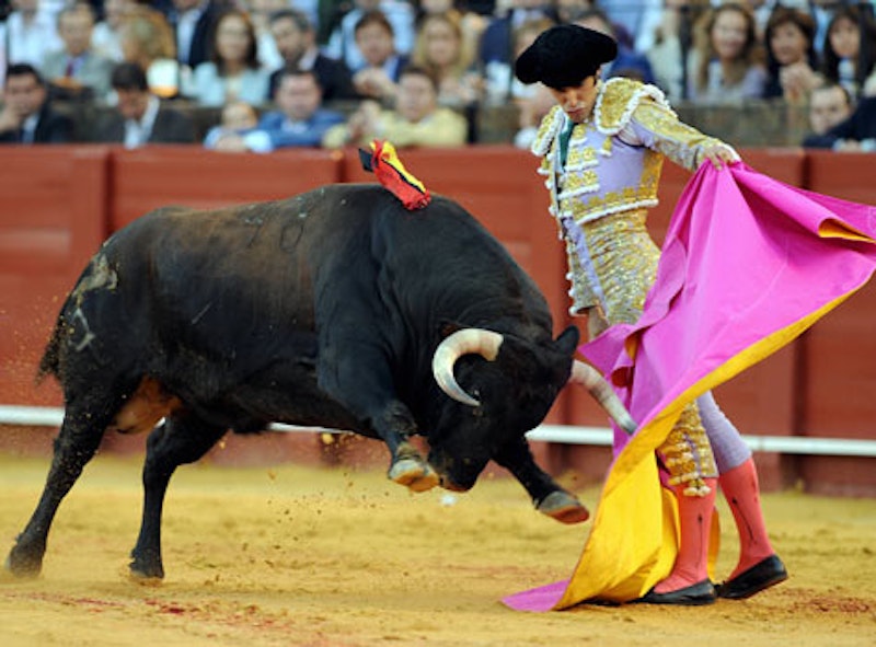 Check out these awesome Bullfighters - Bullfighters Only