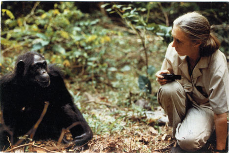 Whosewearingdaughterearth janegoodallpcfront.jpg?ixlib=rails 2.1