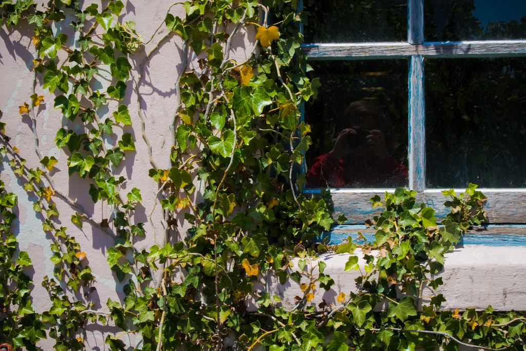 3026797384 2bce81eb87 b.jpg?ixlib=rails 2.1