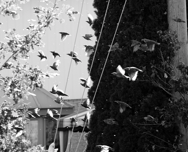 Picture 1.png?ixlib=rails 2.1