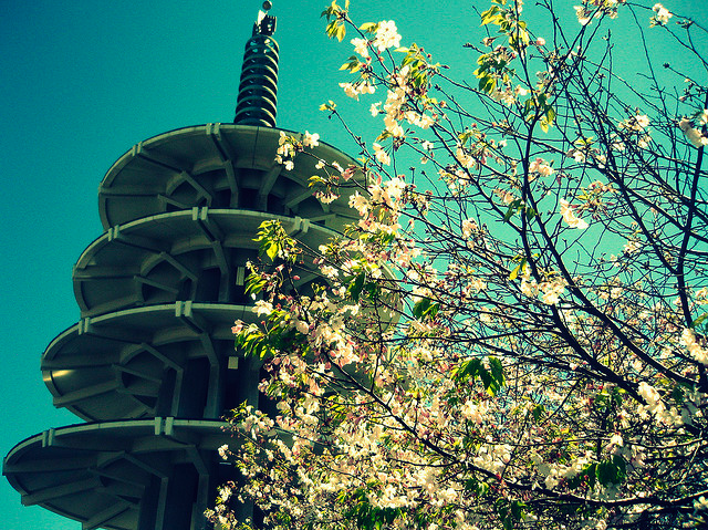 Picture 1.png?ixlib=rails 2.1