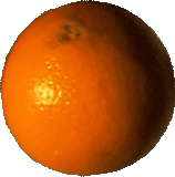 Litcrittoolkit orange 1.gif?ixlib=rails 2.1